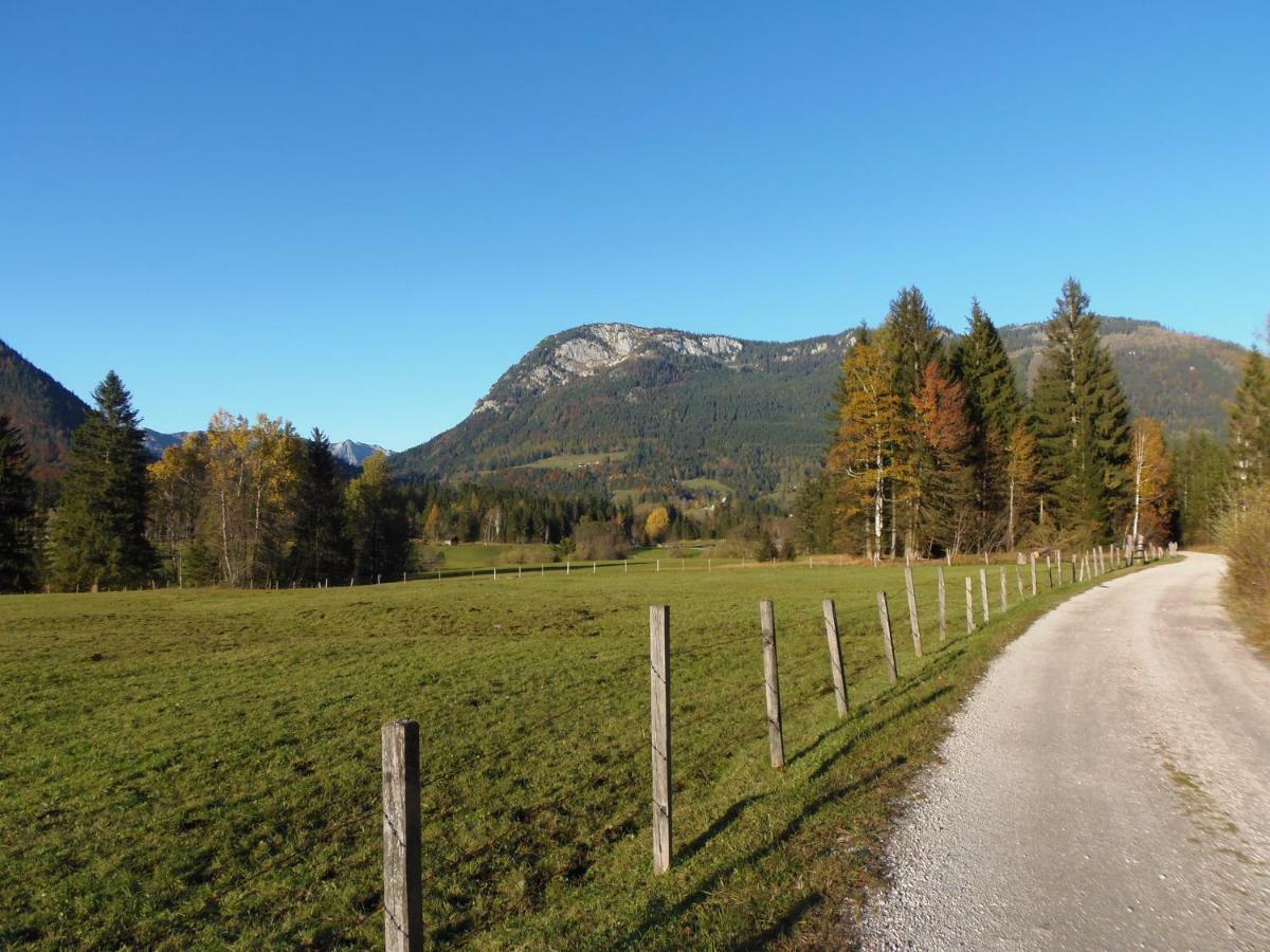 Andrea Bad Mitterndorf